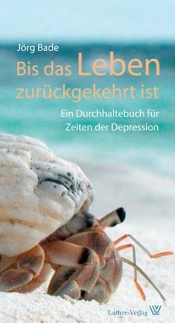 Bis das Leben zurückgekehrt ist: Ein Durchhaltebuch für Zeiten der Depression