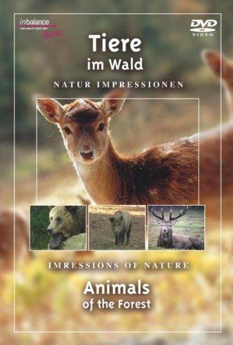 Tiere im Wald