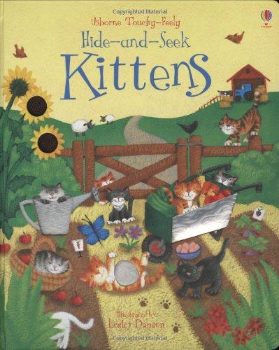 Hide and Seek Kittens (Hide-and-Seek Books)