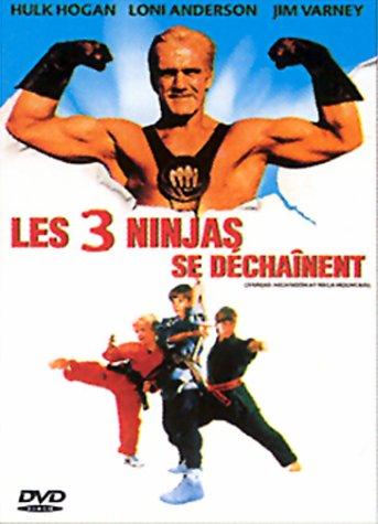 Les Ninjas se Déchainent [FR Import]