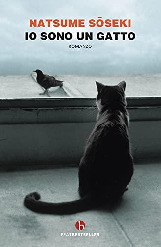 Io sono un gatto (BEAT. Bestseller)