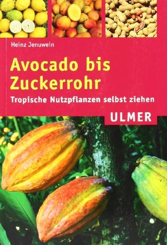 Avocado bis Zuckerrohr: Tropische Nutzpflanzen selbst ziehen