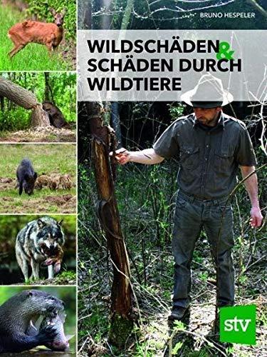 Wildschäden & Schäden durch Wildtiere