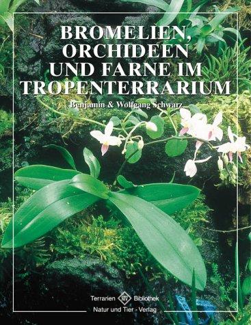 Bromelien, Orchideen und Farne im Tropenterrarium