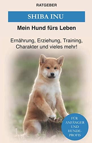 Shiba Inu: Erziehung, Training und Charakter von Shiba Inu