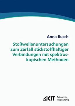 Stoßwellenuntersuchungen zum Zerfall stickstoffhaltiger Verbindungen mit spektroskopischen Methoden