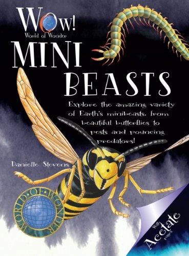 Mini Beasts (World of Wonder)