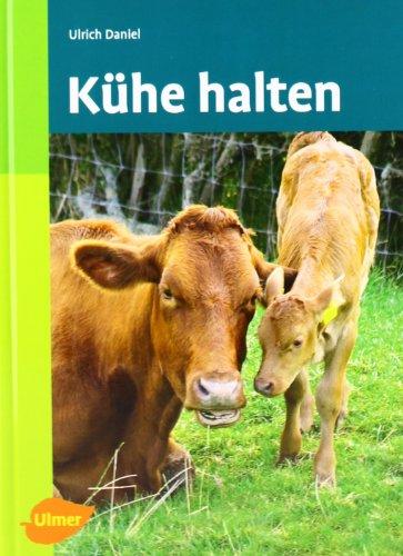 Kühe halten