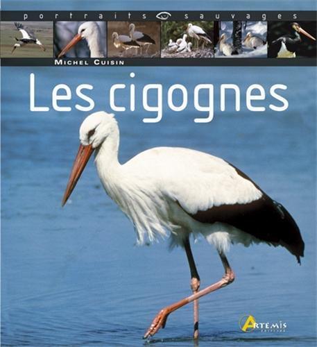 Les cigognes