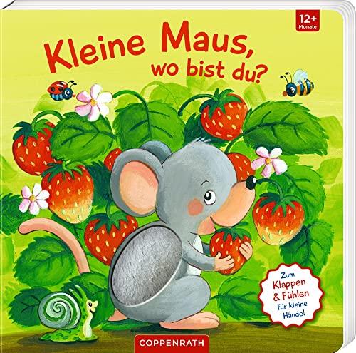 Mein erstes Guckloch-Fühlbuch: Kleine Maus, wo bist du? (Fühlen und die Welt begreifen)