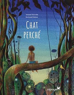 Chat perché