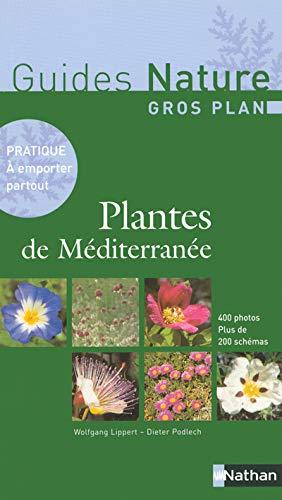 Plantes de Méditerranée