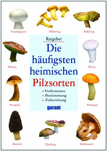 Die häufigsten heimischen Pilzsorten