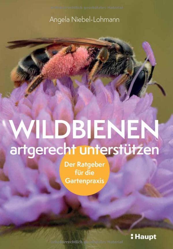 Wildbienen artgerecht unterstützen: Der Ratgeber für die Gartenpraxis