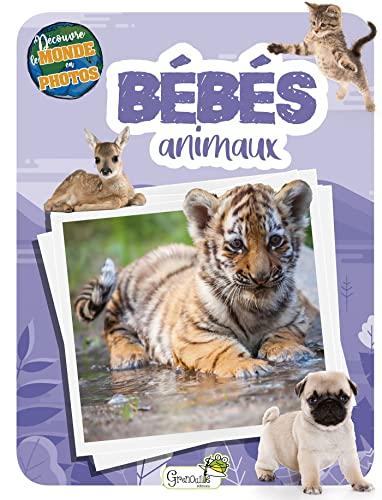 Bébés animaux