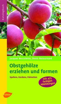 Obstgehölze erziehen und formen: Spaliere, Kordons, Palmetten