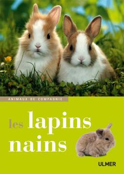 Les lapins nains