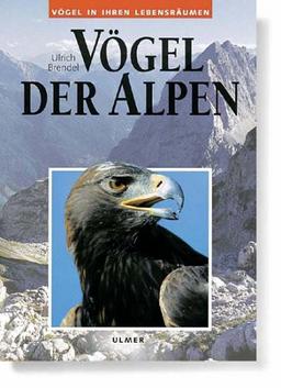 Vögel der Alpen