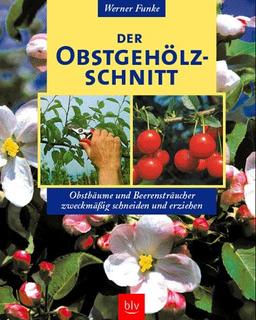 Der Obstgehölzschnitt