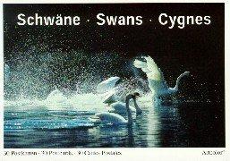 Schwäne. 30 farbige Postkarten. Swans / Cygnes