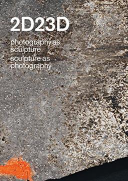 2D23D photography as sculpture sculpture as photography