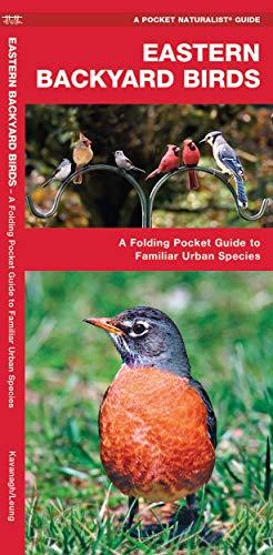 Eastern Backyard Birds: A Folding Pocket Guide to Familiar Urban Species: An Introduction to Familiar Urban Species (Pocket Naturalist Guide Series)