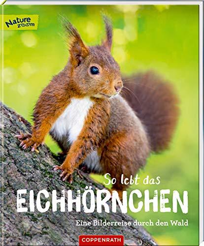 So lebt das Eichhörnchen: Eine Bilderreise durch den Wald (Nature Zoom)