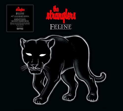 Feline (Deluxe) Softbook