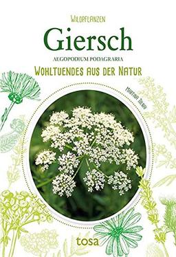 Giersch: Wohltuendes aus der Natur