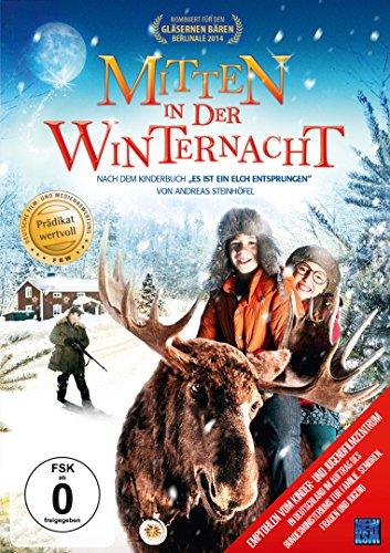 Mitten in der Winternacht (Prädikat: Wertvoll)(mit Glanz-Cover)