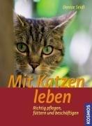 Mit Katzen leben: Richtig pflegen, füttern und beschäftigen