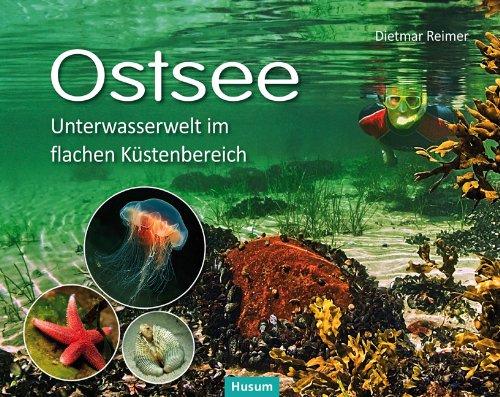 Ostsee: Unterwasserwelt im flachen Küstenbereich Kattegatt - Kleiner Belt - Westliche Ostsee