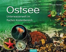 Ostsee: Unterwasserwelt im flachen Küstenbereich Kattegatt - Kleiner Belt - Westliche Ostsee