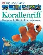 Tag und Nacht - Korallenriff: Beobachte die Tiere in ihrem Lebensraum