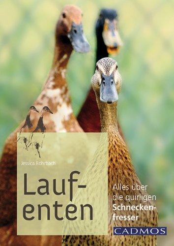 Laufenten: Alles über die quirligen Schneckenfresser