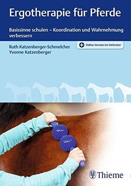 Ergotherapie für Pferde: Basissinne schulen – Koordination und Wahrnehmung verbessern