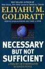 Necessary But Not Sufficient: A Theory of Constraints Business Novel