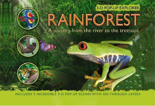 Rainforest 3-D Pop-up Explorer