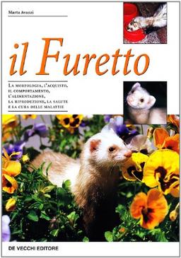 Il furetto (Animali)