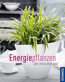 Energiepflanzen für mein Zuhause (Mein Garten)