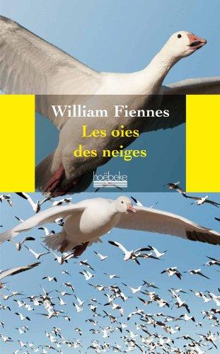 Les oies des neiges