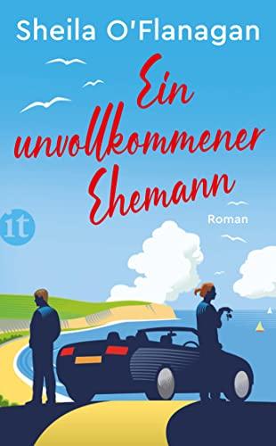 Ein unvollkommener Ehemann: Roman (insel taschenbuch)