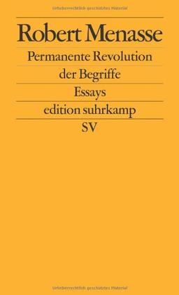 Permanente Revolution der Begriffe: Vorträge zur Kritik der Abklärung: Essays (edition suhrkamp)