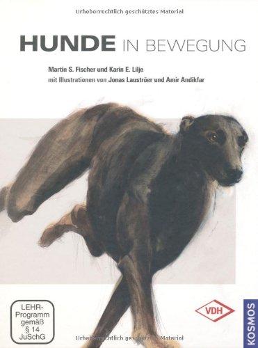 Hunde in Bewegung