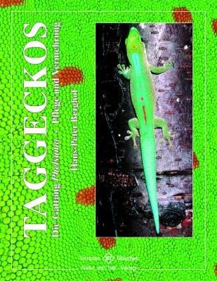 Taggeckos: Die Gattung Phelsuma - Pflege und Vermehrung