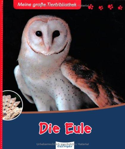 Die Eule