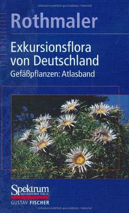 Exkursionsflora von Deutschland, 4 Bde., Bd.3, Gefäßpflanzen, Atlasband