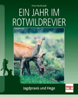 Ein Jahr im Rotwildrevier: Jagdpraxis und Hege