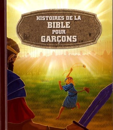 Histoires de la Bible pour garçons