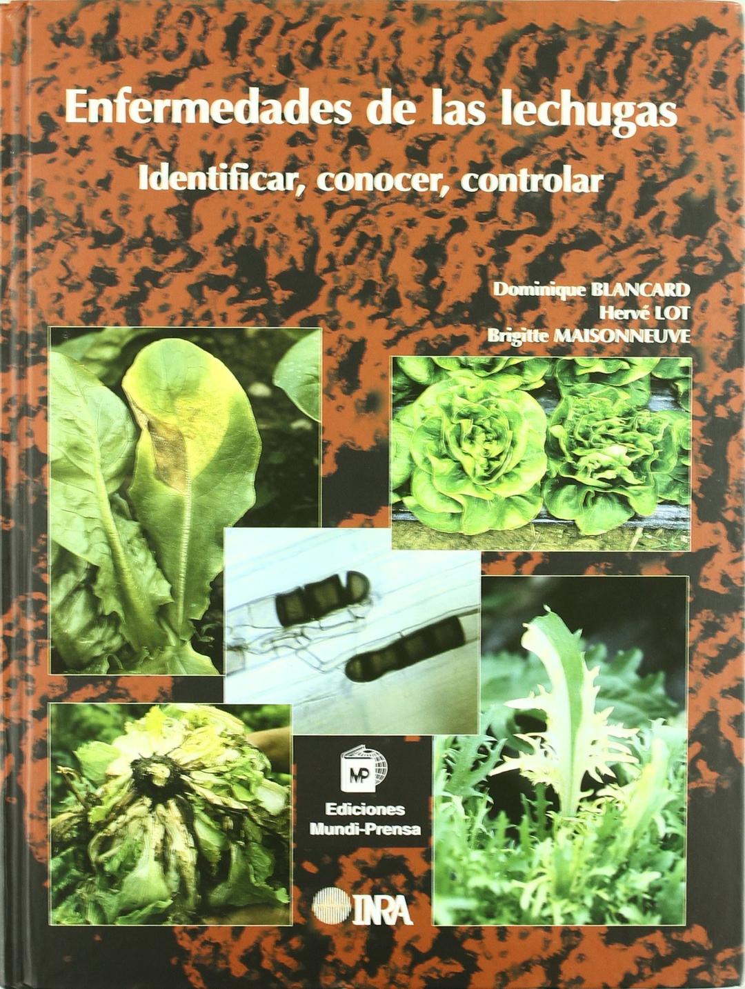 Enfermedades de las lechugas (Patología Vegetal)